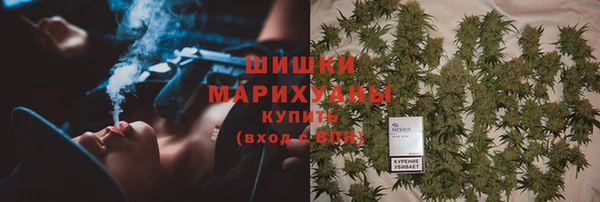 индика Бугульма