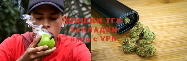 индика Бугульма