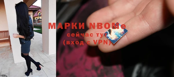 индика Бугульма
