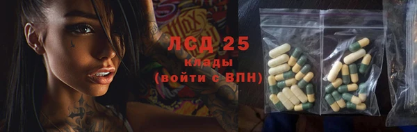 индика Бугульма