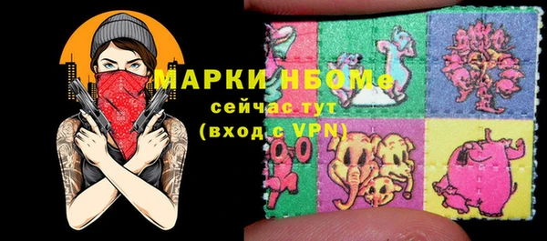индика Бугульма