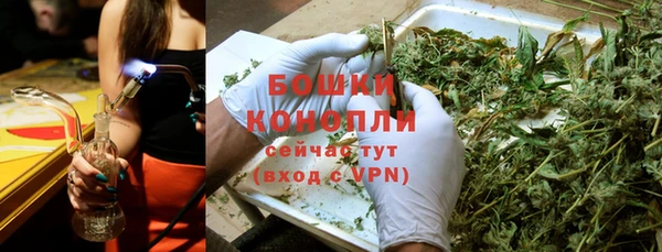 индика Бугульма